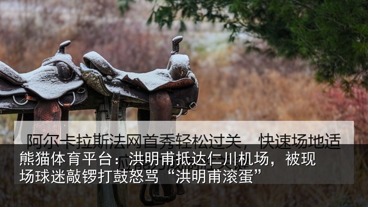 熊猫体育平台：洪明相关情况现场相关情况“洪明甫滚蛋”