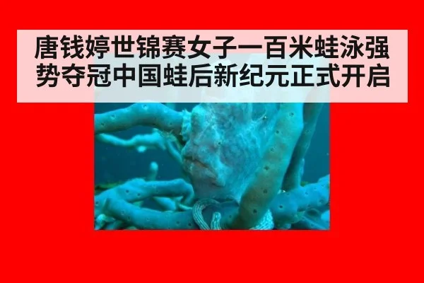 唐钱婷世锦赛女子一百米蛙泳强势夺冠中国蛙后新纪元正式开启
