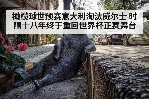 橄榄球世预赛意大利淘汰威尔士 时隔十八年终于重回世界杯正赛舞台